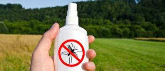 Jak przeżyć wakacje bez komarów?